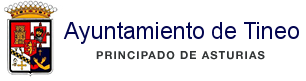 Ayuntamiento de Tineo